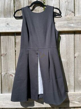 Alice + Olivia Black Sleeveless Pleated Fit-and-Flare Dress